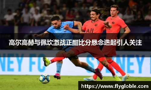 高尔高赫与佩坎激战正酣比分悬念迭起引人关注